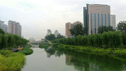 Sunflower Tower, Beijing